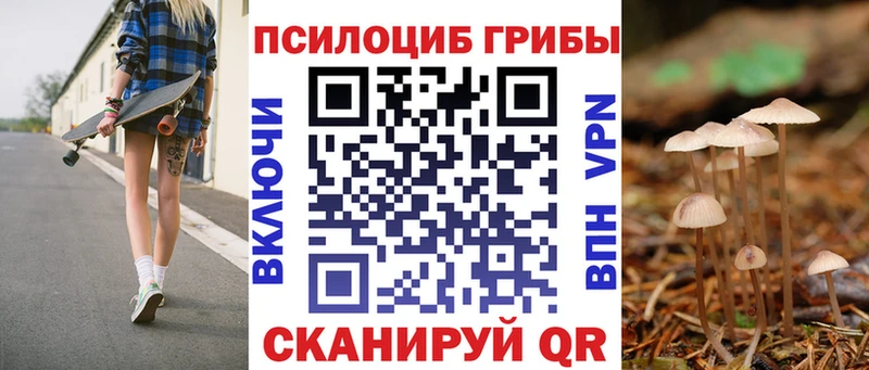 Псилоцибиновые грибы Psilocybine cubensis  купить наркотик  МЕГА ONION  Бакал 