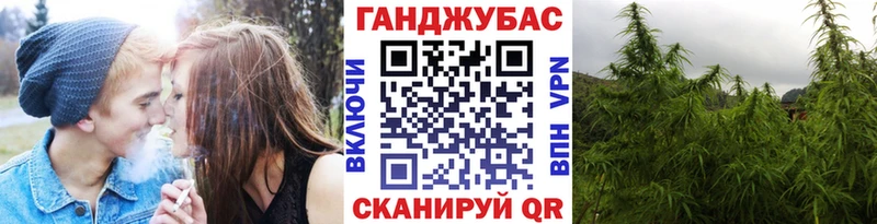 Каннабис гибрид Бакал